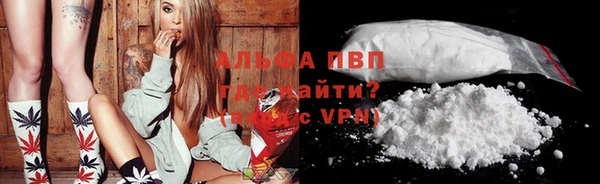 крисы Аркадак