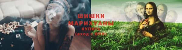 каннабис Арсеньев