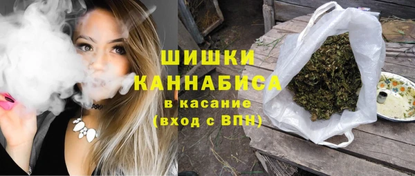 крисы Аркадак